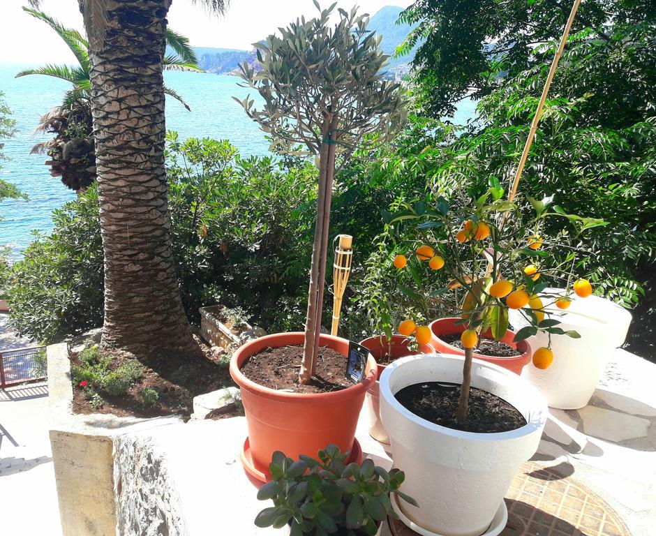 Two Palms Apartment Sutomore Extérieur photo